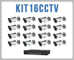 Kit de CCTV que incluye 1 DVR modelo LTD2316SE-C y 16 cmaras bullet modelo LTCMR8952[LTS]